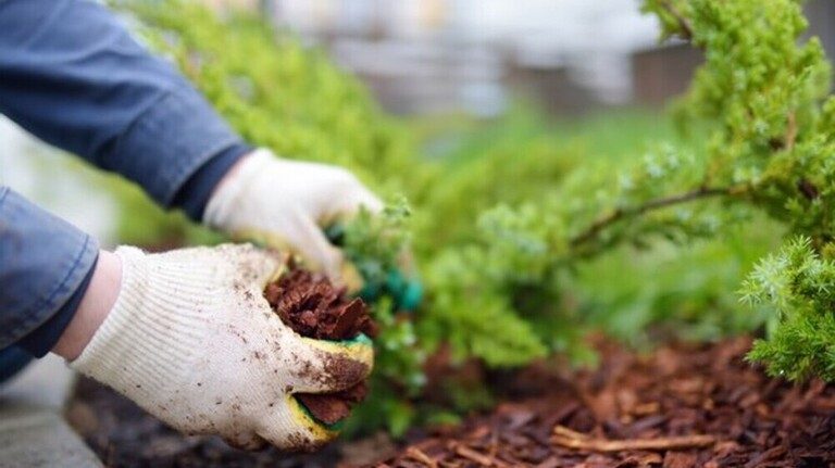 How To Prevent Erosion And Runoff In The Yard?