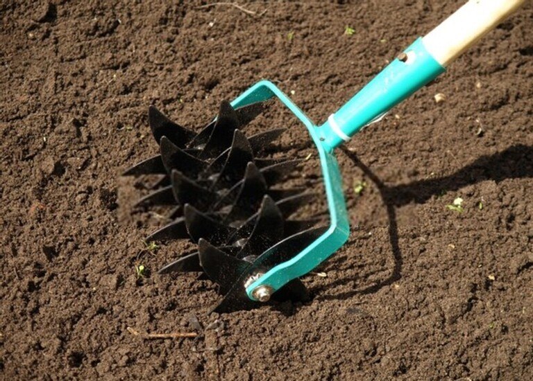 how-to-prepare-ground-for-vegetable-garden