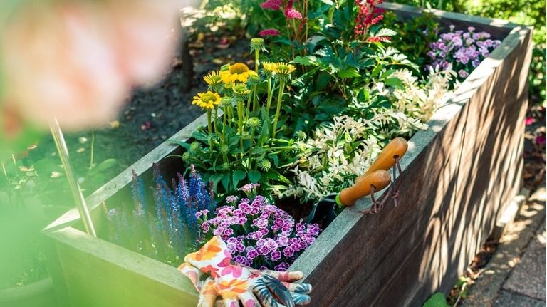 6 Best Large Planters For Outdoors Sep 2021 Reviews Guide 6 Best Large Planters For, Inexpensive Outdoor Planters