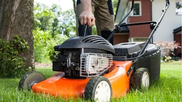 top-9-best-lawn-mowers-for-the-money-2024-reviews-guide