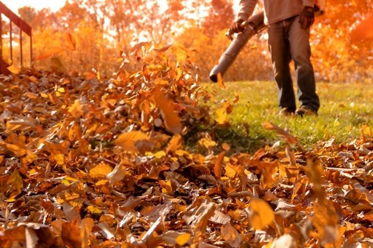 best-way-to-clean-up-leaves-in-a-large-yard