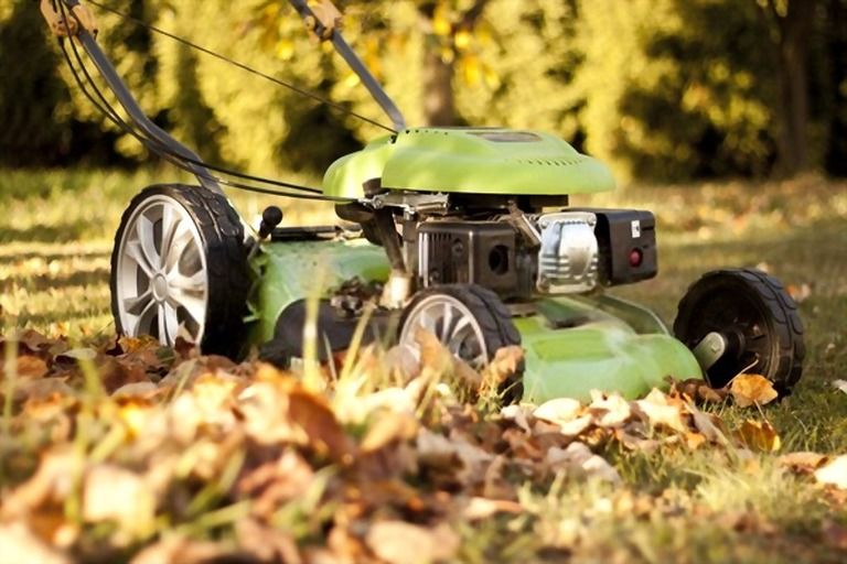 Best Way To Clean Up Leaves In A Large Yard