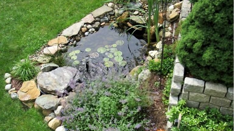 How To Build A Small Pond For Fish?