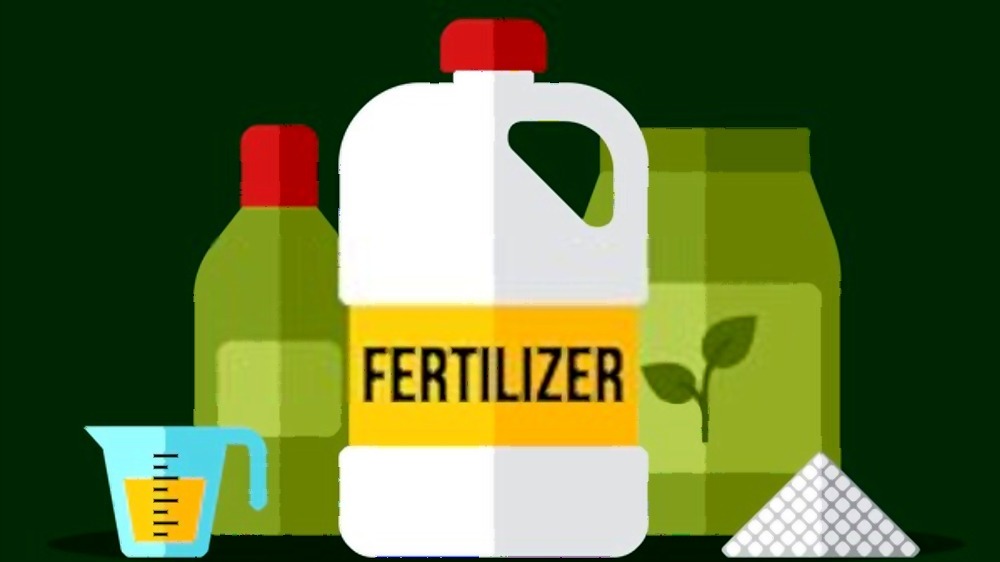 what-are-the-three-main-types-of-fertilizers