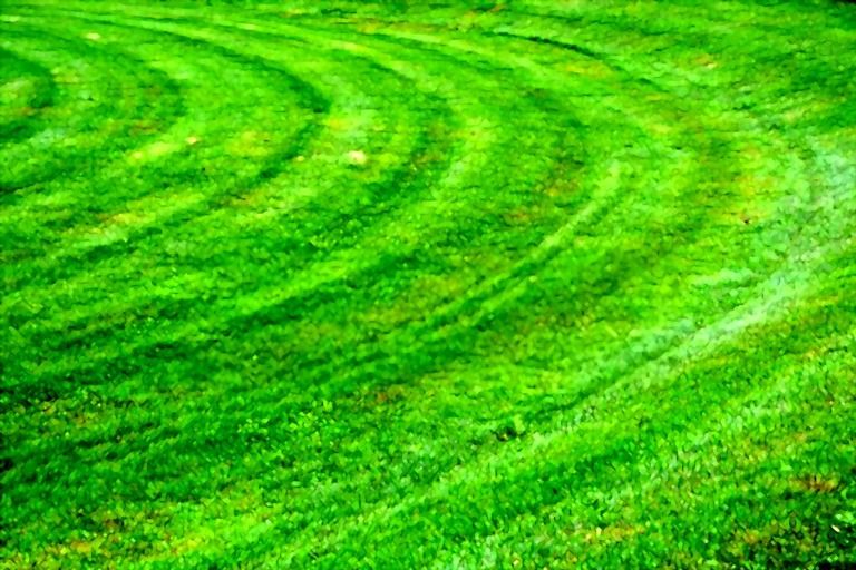 What Is The Fastest Way To Mow A Lawn?