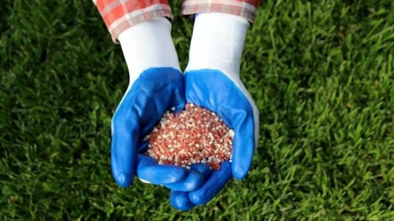 Best Nitrogen Fertilizer For Lawns [May 2021]: Top 4 Picks