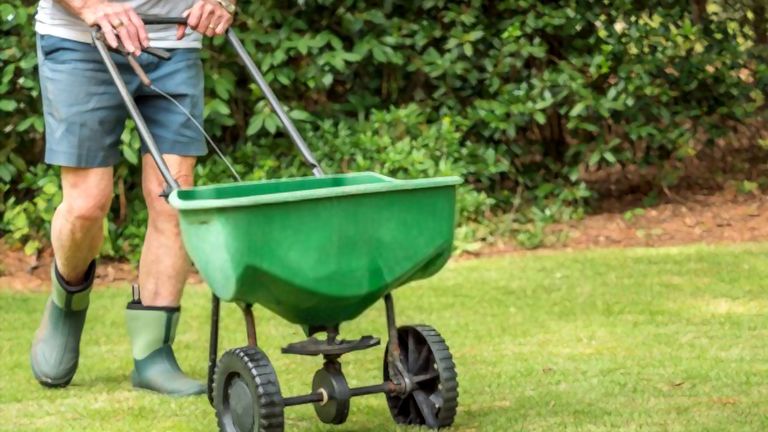 Top 7 Best Grass Seed Spreaders 2024 Reviews And Buying Guide