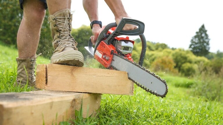 Top 6 Best Top Handle Chainsaws [MMMYYYY] Reviews & Buying Guide