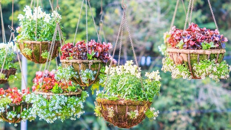 5 Best Hanging Baskets For Full Sun 2021 Reviews Buying Guide   Best Hanging Baskets For Full Sun 768x432 