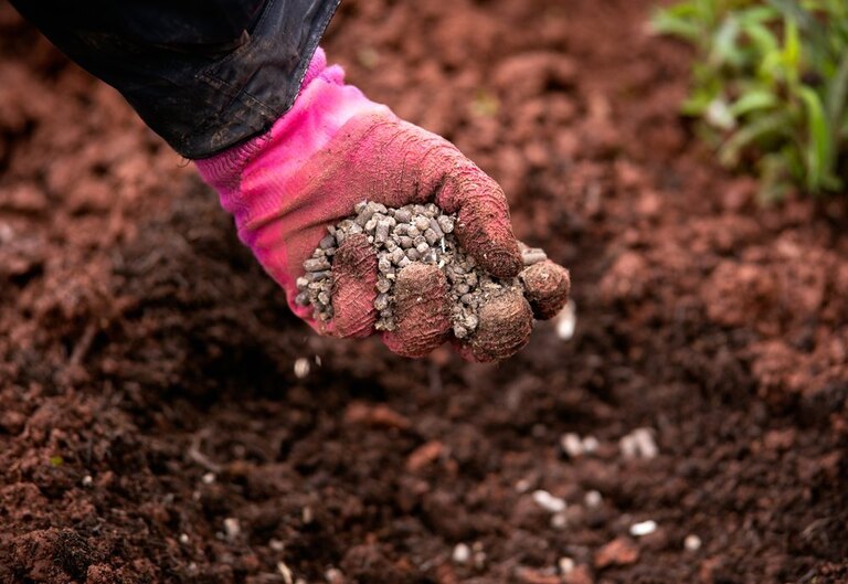 How To Grow Grass In Clay Soil?