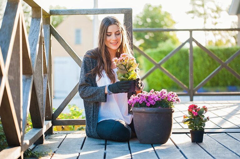 How To Protect Potted Plants From Wind?