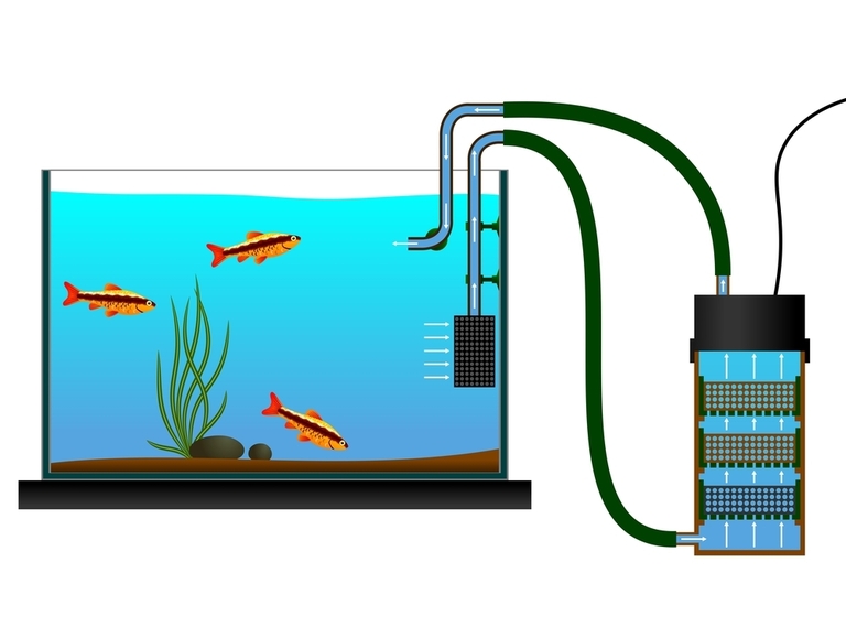 How To Keep A Fish Tank Clean Without Changing The Water?