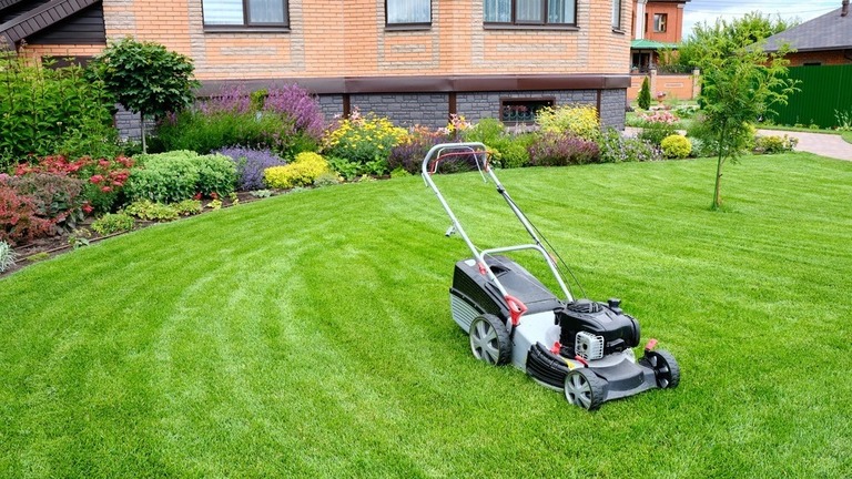 Best Lightweight Lawn Mower For Elderly [Sep 2023]: Top 9 Picks