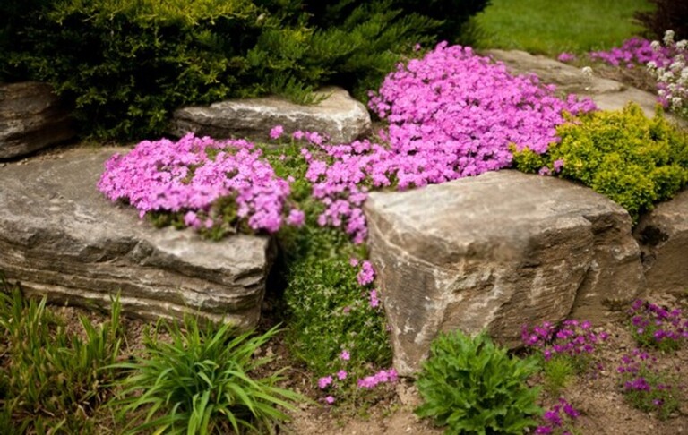 Simple Front Yard Landscaping Ideas Without Grass