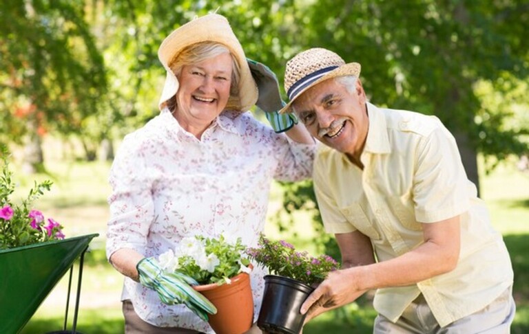 Top Safe Gardening Tips For Seniors